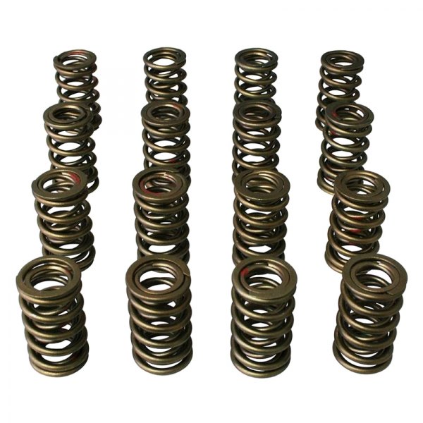 Howards Cams Performance Hydraulic Roller Dual Valve Springs