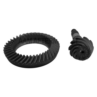 AAM® - Differential Gear Set