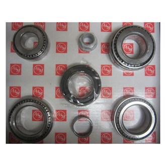 AAM® - Differential Bearing