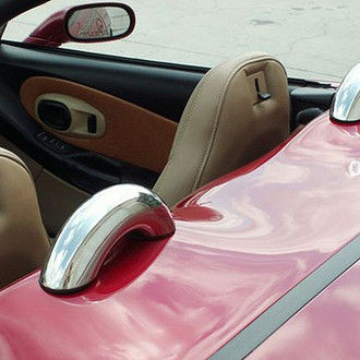 ACC® - Polished Faux Roll Bars