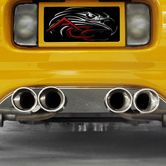 ACC® - Polished Exhaust Filler Panel