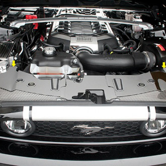 Ford Mustang Custom Engine Covers | CARiD