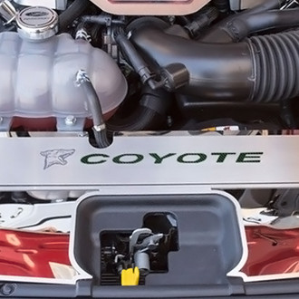 ACC® - Brushed Radiator Cover Vanity Plate with Green Carbon Fiber Etched Logo and Coyote Lettering