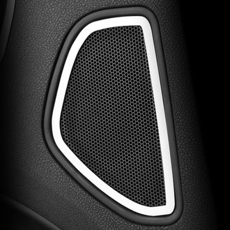 ACC® - Brushed Rear Door Speaker Trim Rings