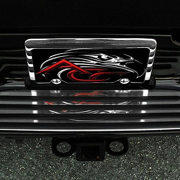 American Car Craft® 342001 Brushed Rear Bumper Step Trim