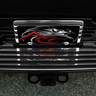 ACC® - Brushed Rear Bumper Step Trim