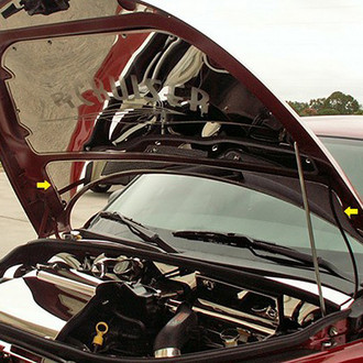 ACC® - Polished Lower Hood Cowl Cover