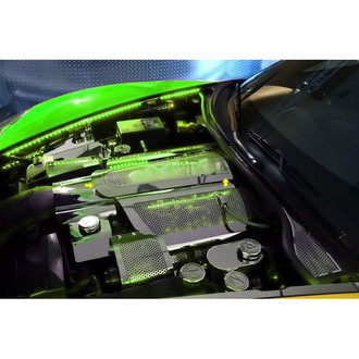 ACC® - Perforated Green Illuminated Polished Low Profile Plenum Cover
