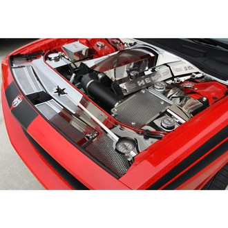 ACC® - Replacement Style Non-Illuminated Polished Fuel Rail Covers with White Carbon Fiber HEMI Logo