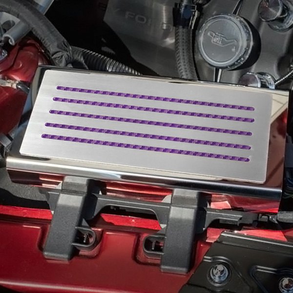 American Car Craft® - Polished Fuse Box Plate with Purple Accent