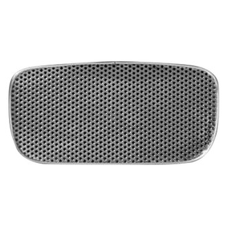 ACC® - Polished Front Perforated Tag Plate and Frame