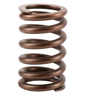 ACDelco® - Genuine GM Parts™ Engine Valve Spring