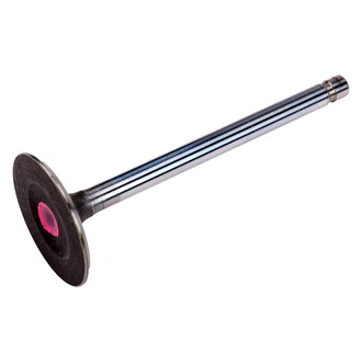 ACDelco® - Genuine GM Parts™ Intake Valve