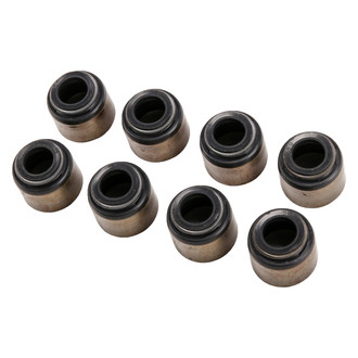 ACDelco® - Genuine GM Parts™ Intake Valve Stem Oil Seal Set