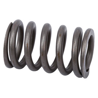 ACDelco® - Genuine GM Parts™ Engine Valve Spring