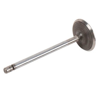 ACDelco® - Genuine GM Parts™ Intake Valve