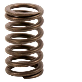ACDelco® - Genuine GM Parts™ Valve Spring