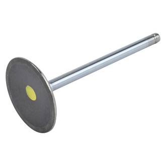 ACDelco® - Genuine GM Parts™ Intake Valve