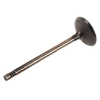 ACDelco® - Genuine GM Parts™ Intake Valve