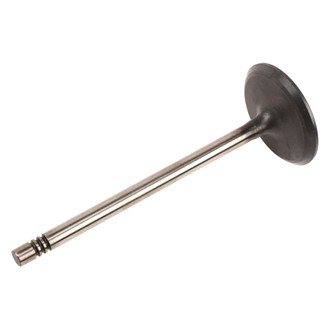ACDelco® - Genuine GM Parts™ Intake Valve