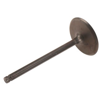 ACDelco® - Genuine GM Parts™ Intake Valve