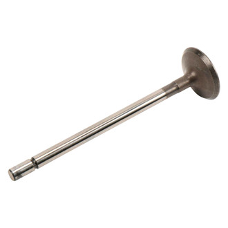 ACDelco® - Genuine GM Parts™ Intake Valve