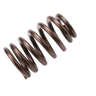ACDelco® - Genuine GM Parts™ Engine Valve Spring