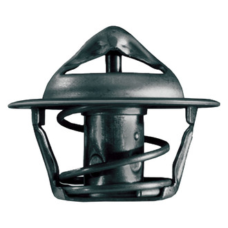 ACDelco® - Professional™ Engine Coolant Thermostat