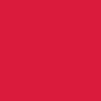 ACDelco® - 0.5 fl. oz. Torch Red Four-In-One Touch-Up Paint Scratch Repair Kit