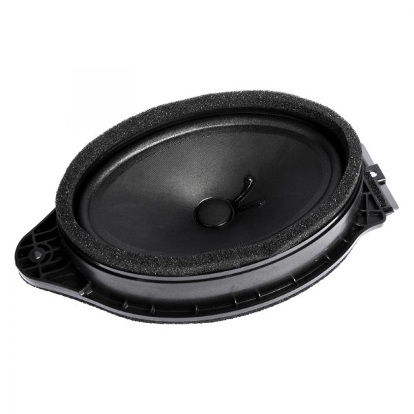 ACDelco® - Speaker