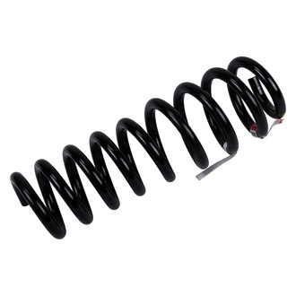 ACDelco® - Genuine GM Parts™ Rear Driver Side Coil Spring