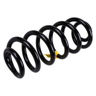 ACDelco® - Genuine GM Parts™ Rear Driver Side Coil Spring