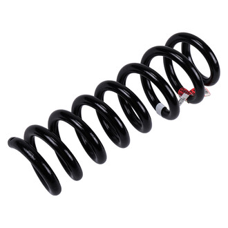 ACDelco® - Genuine GM Parts™ Rear Driver Side Coil Spring
