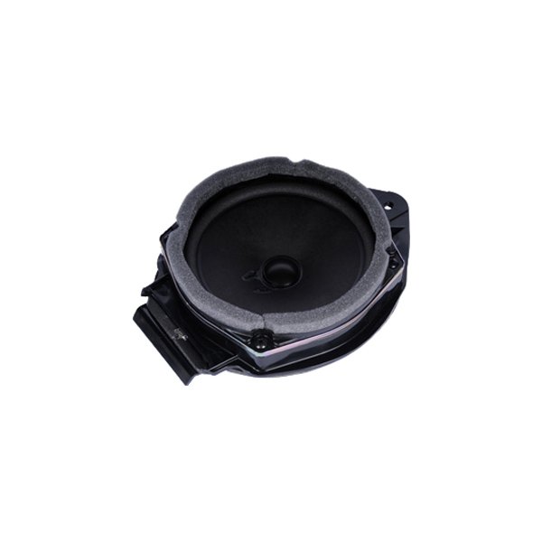 ACDelco® - Speaker