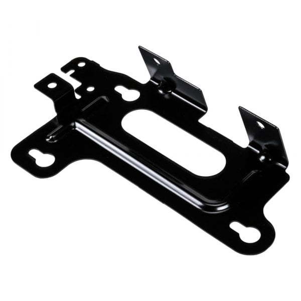 ACDelco® - Genuine GM Parts Fuel Pump Driver Module Bracket