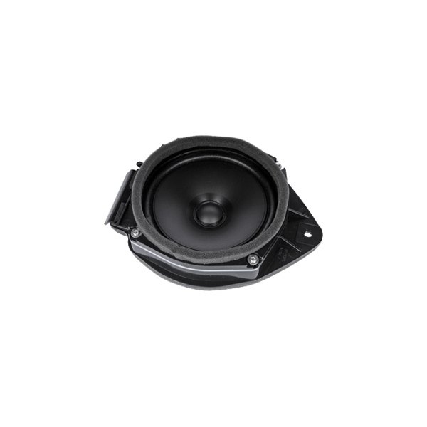 ACDelco® - Speaker