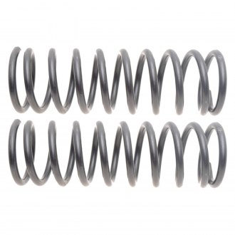ACDelco® - Professional™ Premium Coil Springs