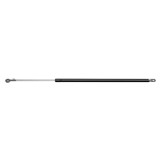 ACDelco® - Professional™ Liftgate Lift Support
