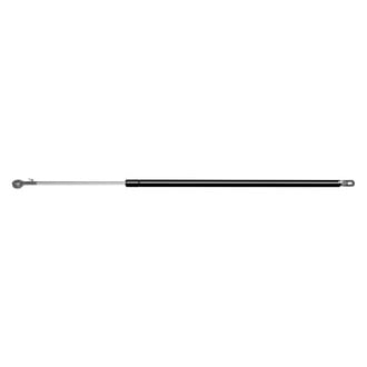 ACDelco® - Professional™ Liftgate Lift Support