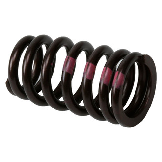 ACDelco® - Genuine GM Parts™ Engine Valve Spring