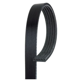 ACDelco® - Professional™ Serpentine Belt