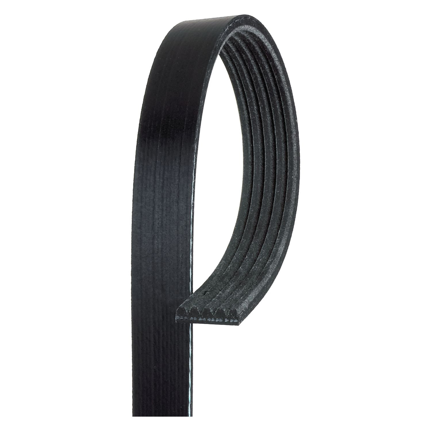 ACDelco Standard Serpentine Belt, BCVC-DCC-5K694 At Tractor Supply Co