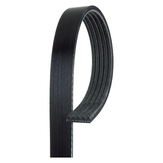 ACDelco® - Professional™ Standard V-Ribbed Serpentine Belt