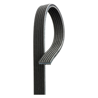 ACDelco® - Professional™ Double Sided V-Ribbed Serpentine Belt