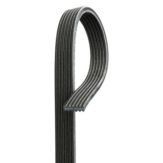 ACDelco® - Professional™ Double Sided V-Ribbed Serpentine Belt