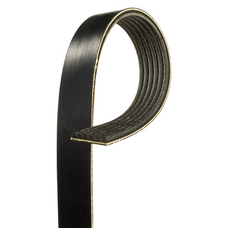 ACDelco® - Professional™ Standard V-Ribbed Serpentine Belt