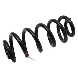 ACDelco® - Genuine GM Parts™ Coil Spring