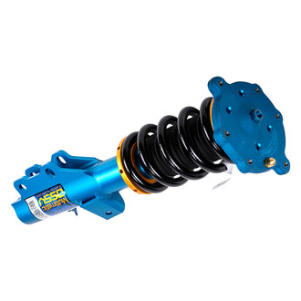 ACDelco® - Professional™ Premium Gas Charged Complete Strut Assembly