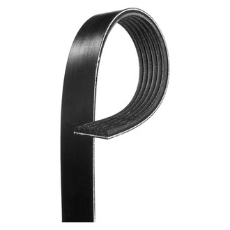 ACDelco® - Professional™ Standard V-Ribbed Serpentine Belt