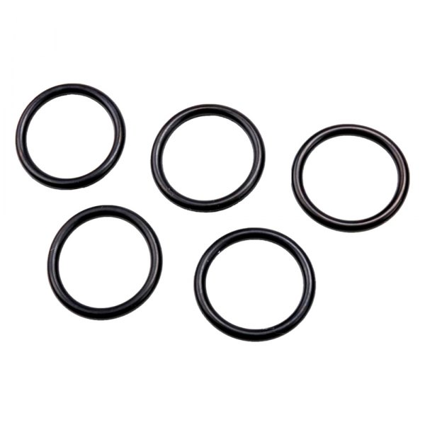 ACDelco® - Genuine GM Parts™ Automatic Transmission Accumulator Piston Seal